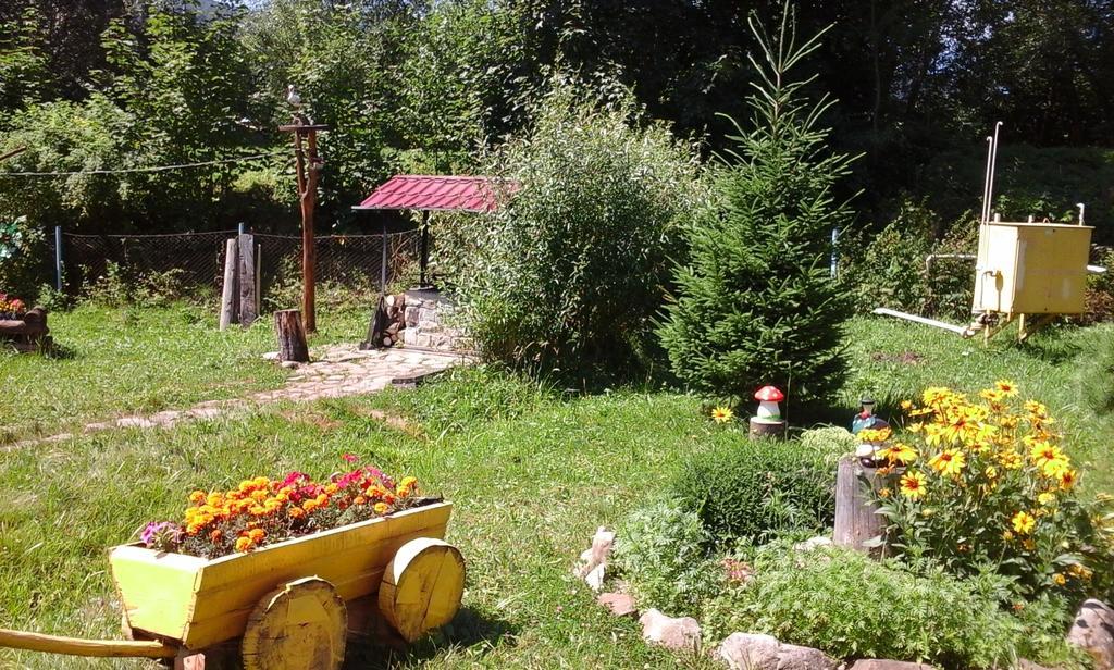 U Pana Ivana Яремча Экстерьер фото